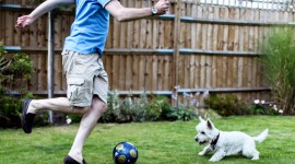 Man vs Dog