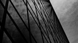Shahriar Erfanian ©