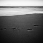 Chad Mauger ©