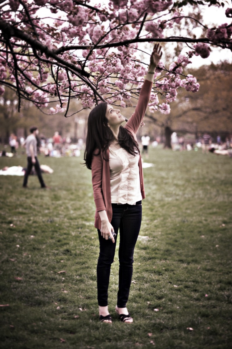 Picking cherry blossoms