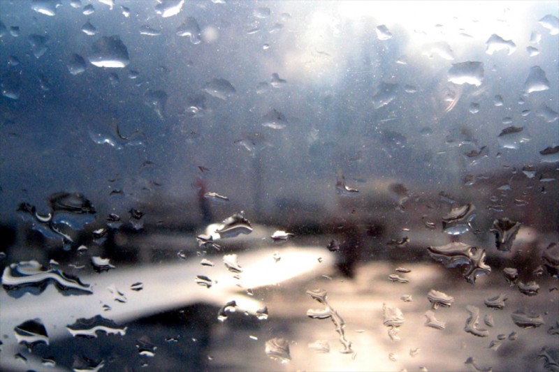 Raindrops on a window