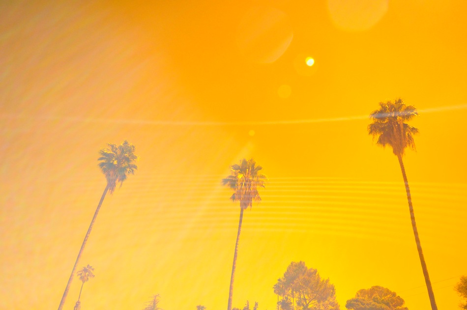 Los Angeles Orange Sky and Palms