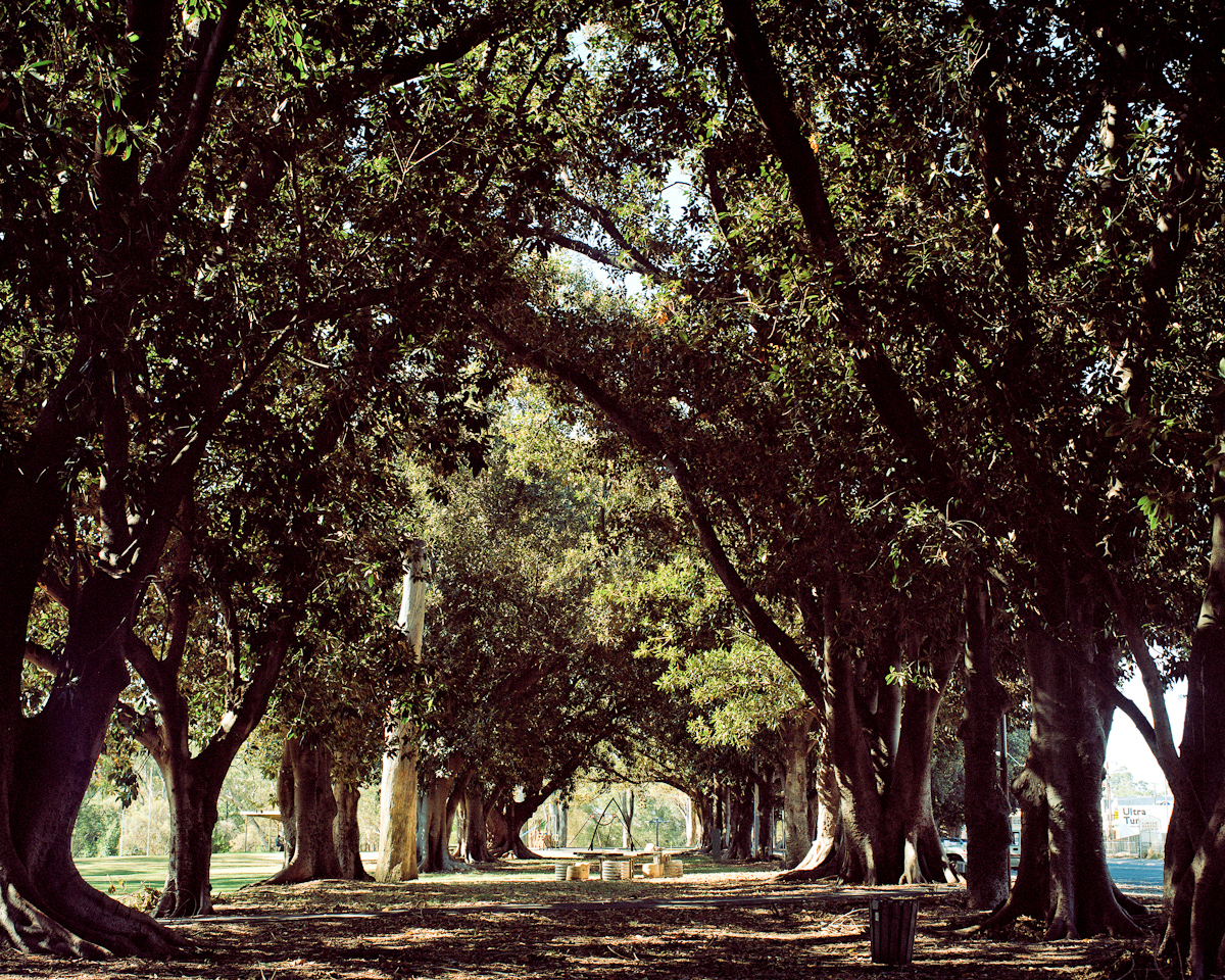 Apex Park in Adelaide, Australia