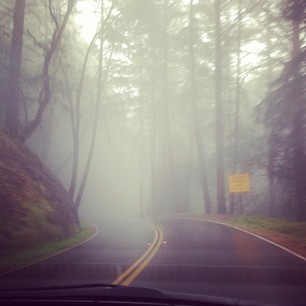 Foggy mountain road
