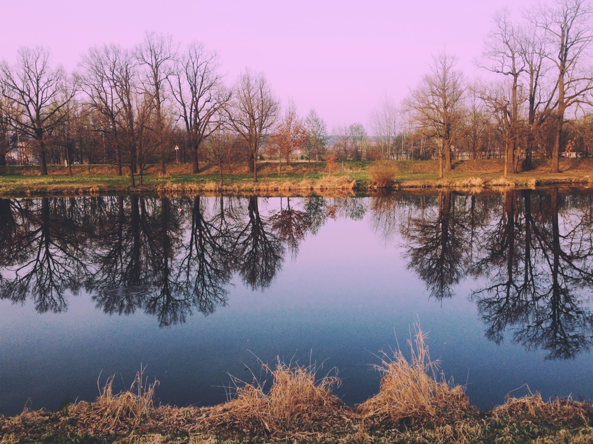 pond reflection pink sky