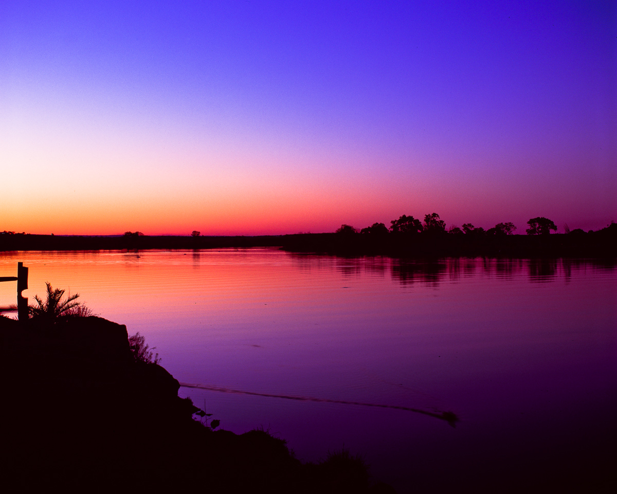 sunset over water purple and pink