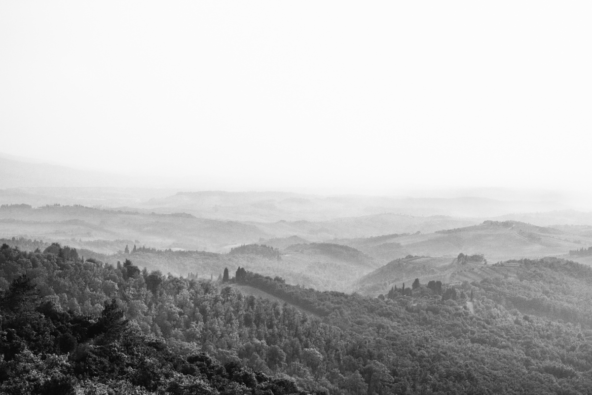 rolling hills BW fog trees