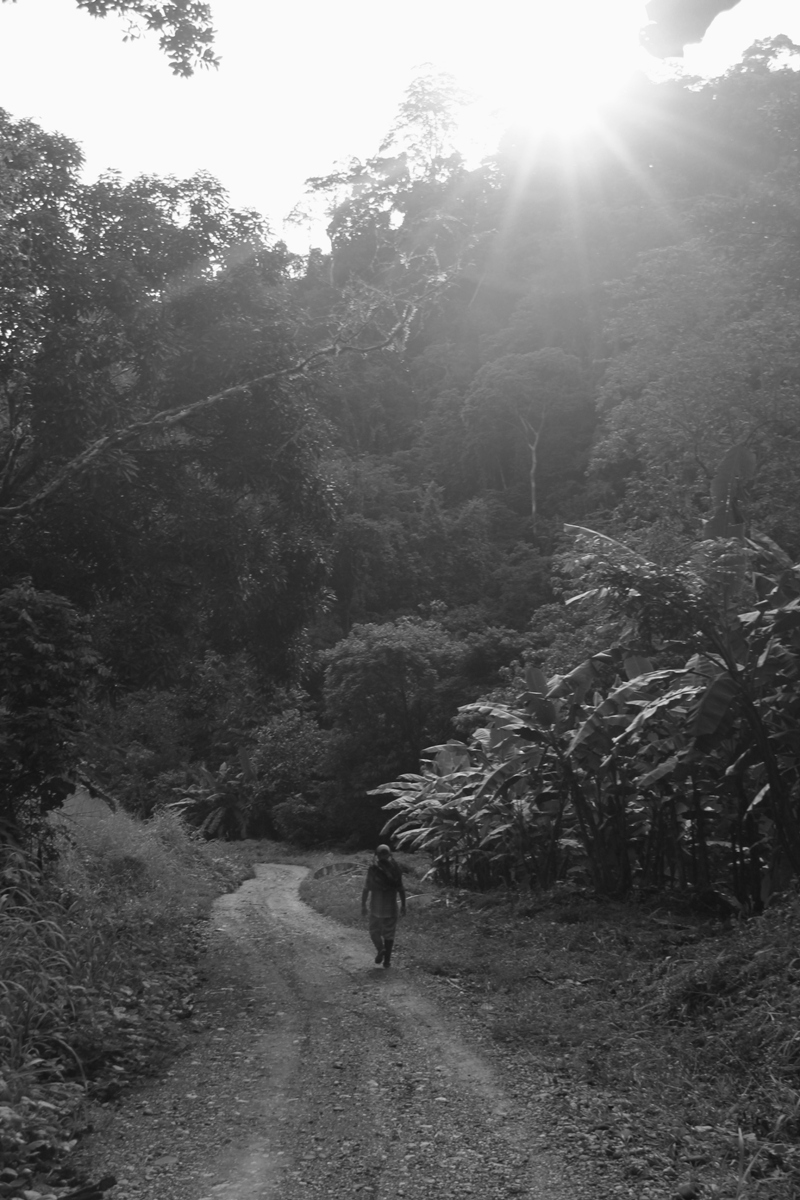 Man walking through Costa Rica rainforest