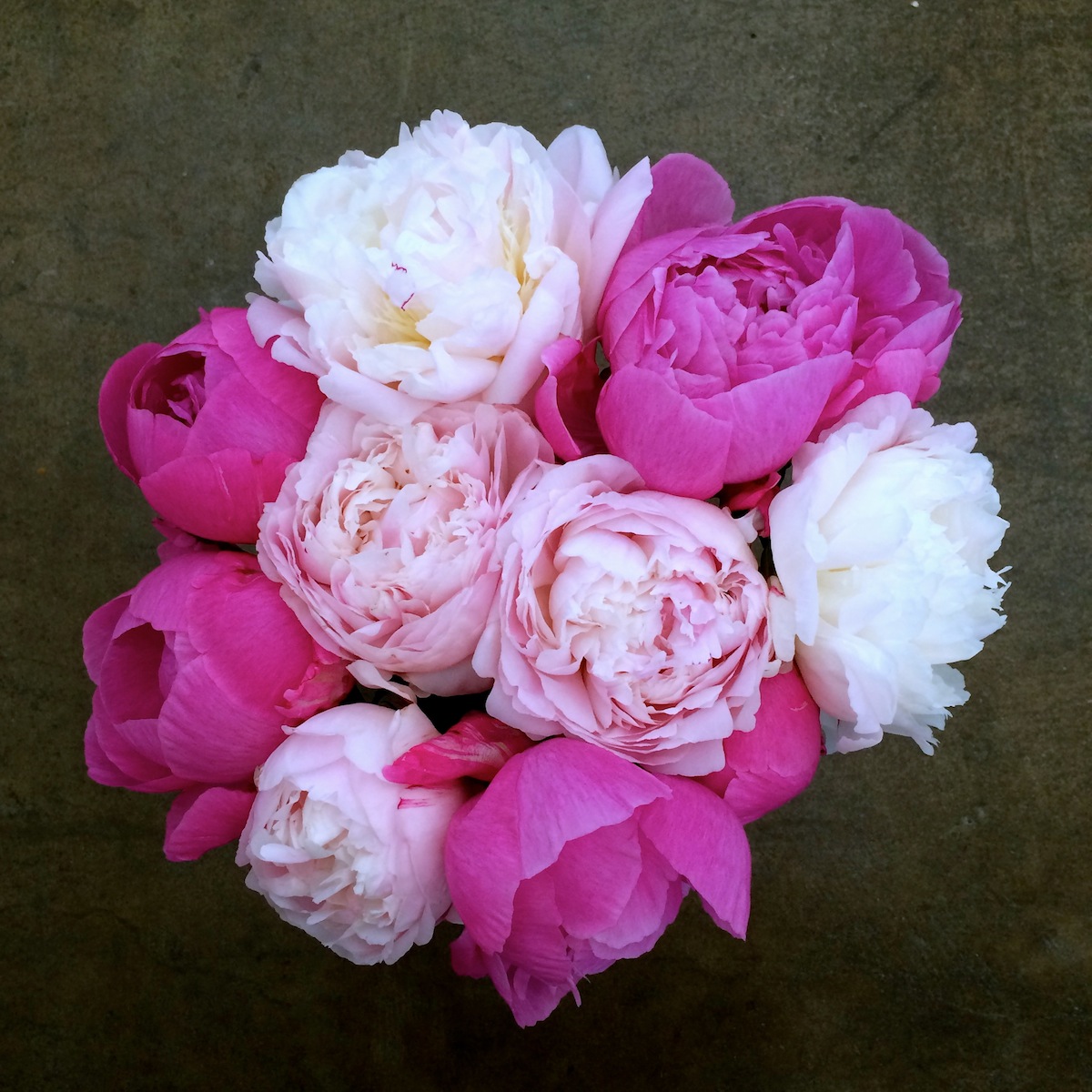 Pink Peonies Floral Arrangement